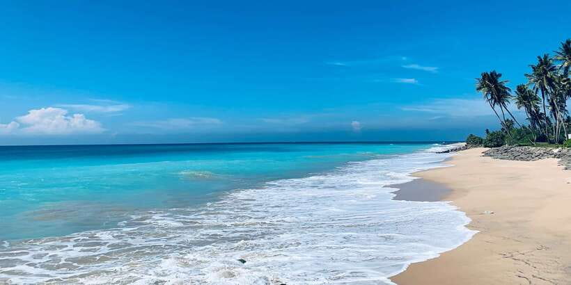 Surfing in Weligama - Cancellation and flexible booking