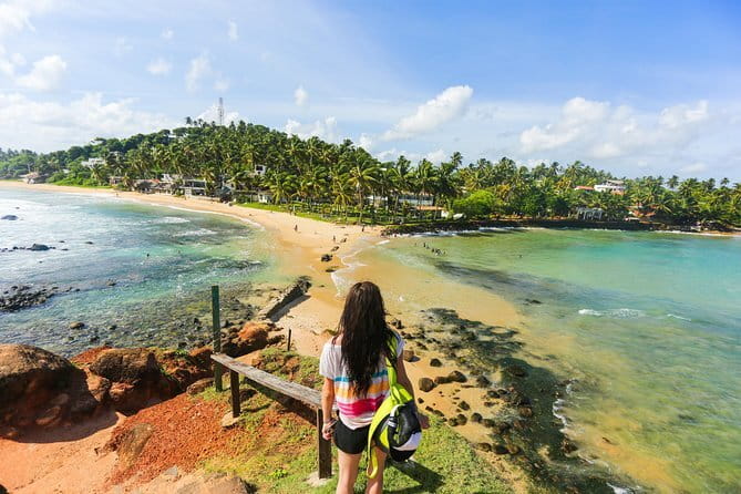 Tangalle City to Yala City Private Transfer - What the available feedback tells you