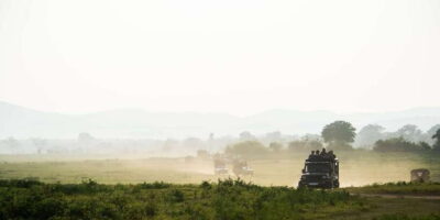 Tangalle/Hiriketiya/Mirissa/Galle: Ella Transfer & Yala Tour