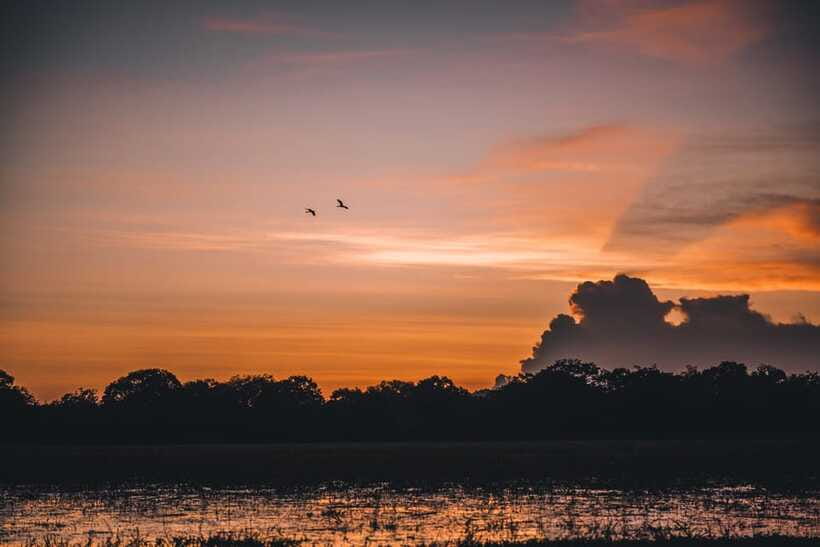 Tangalle/Hiriketiya: Yala National Park Safari in a 4x4 - How to prepare for the seven-hour outing