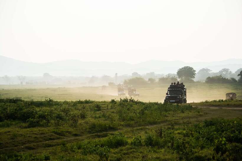 Tangalle/Hiriketiya: Yala National Park Safari in a 4x4 - Paying the real price for a Yala safari