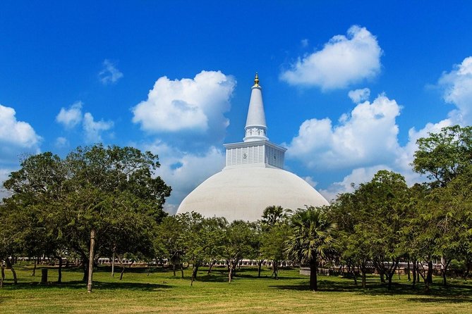 Taxi From Anuradhapura to Airport / Colombo (Private) - Leaving Anuradhapura Without Transport Stress
