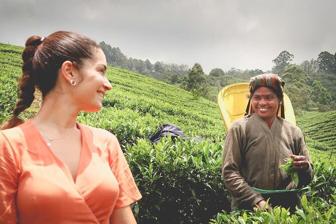 Tea Fields & Factory Tour - Starting at 3:00 pm in Norwood