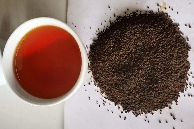 Tea Fields & Factory Tour - Drying, shifting, testing, and packing