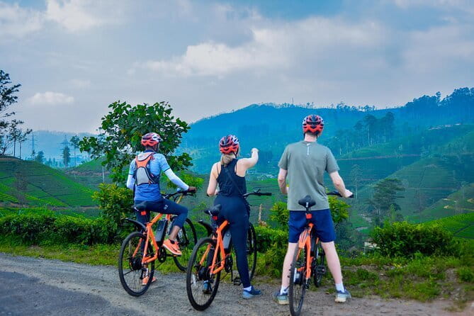 Tea Loops E-Biking - Tea estates and factories along the road