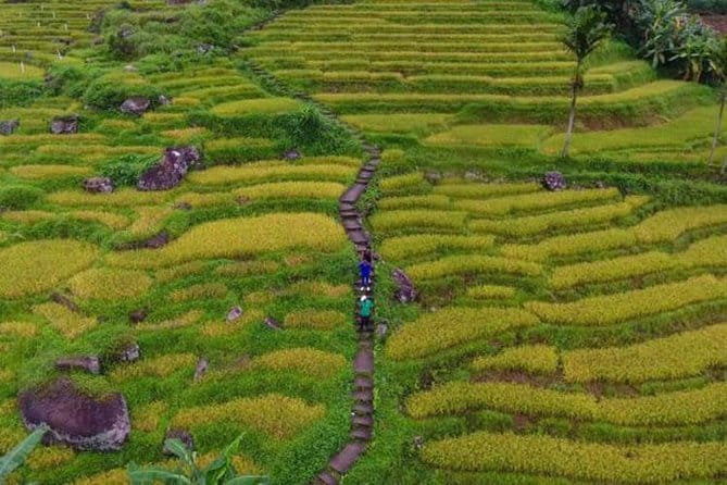 Tea Loops E-Biking - A small group with safety in view
