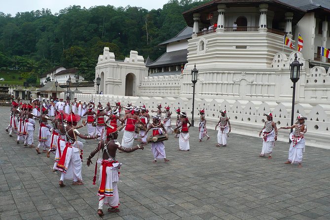 Temple of the Tooth & Royal Botanical Gardens Tour - Why this Colombo to Kandy trip takes all day