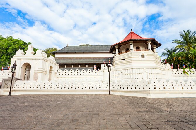 Temple of the Tooth & Royal Botanical Gardens Tour - What the private format adds to a $91 fare