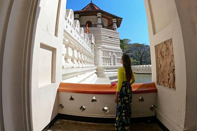 Temple of the Tooth & Royal Botanical Gardens Tour - Two hours among Peradeniya’s giant trees