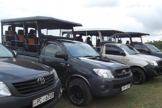 The Best Safari tour from Hambantota Port (Janaka safari) - Key points to know before you book