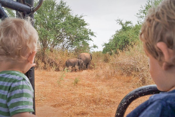 The Great Elephant Gathering Private Safari from Minneriya - The jeep ride into the park