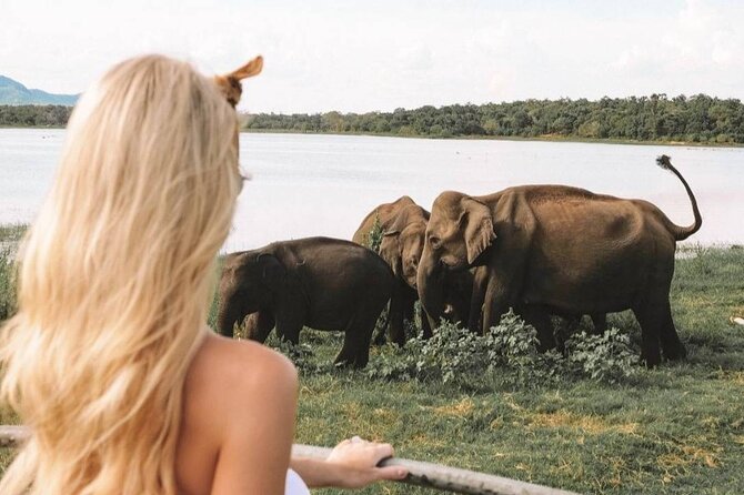 The Great Elephant Gathering Private Safari from Minneriya - More than elephants: birds and park wildlife