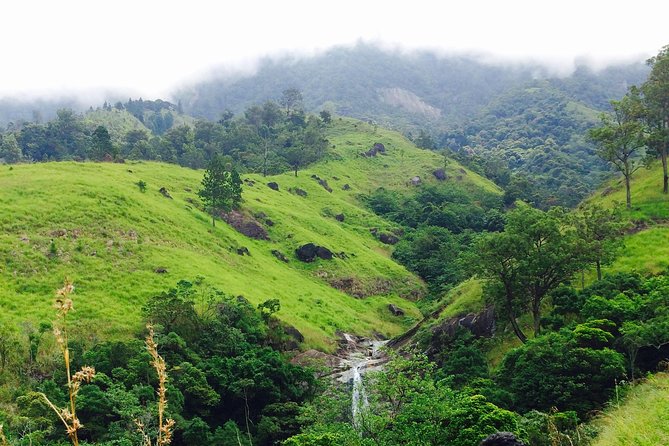The Most Recommended Round Tour in Sri Lanka - Day 3: Dambulla’s painted caves and Kandy’s sacred temple