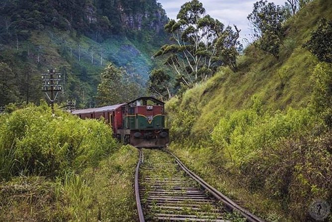 The Most Recommended Round Tour in Sri Lanka - Day 6: Ella’s bridge and two-hour hill walk