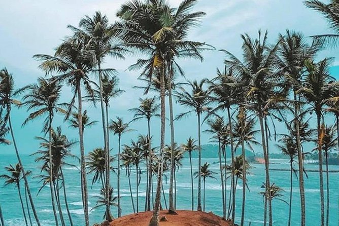 The Most Recommended Round Tour in Sri Lanka - Day 7: Ravana Falls and a Yala safari