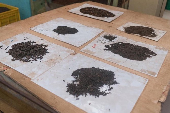 The Tea Hubs of Srilanka - Drawbacks to Weigh Before Reserving