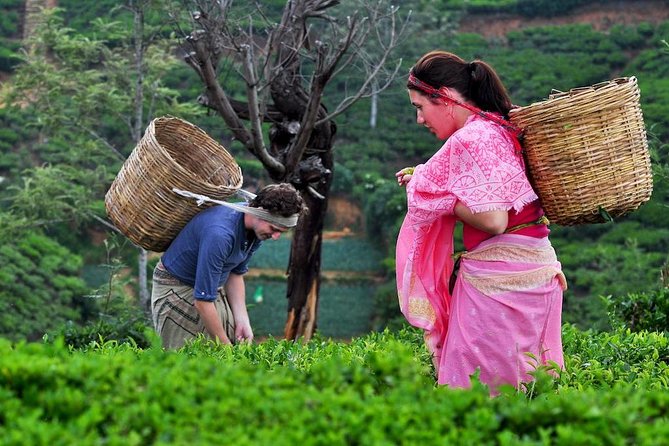 The Tea Hubs of Srilanka - The Spice Garden and Its Herbal Presentation