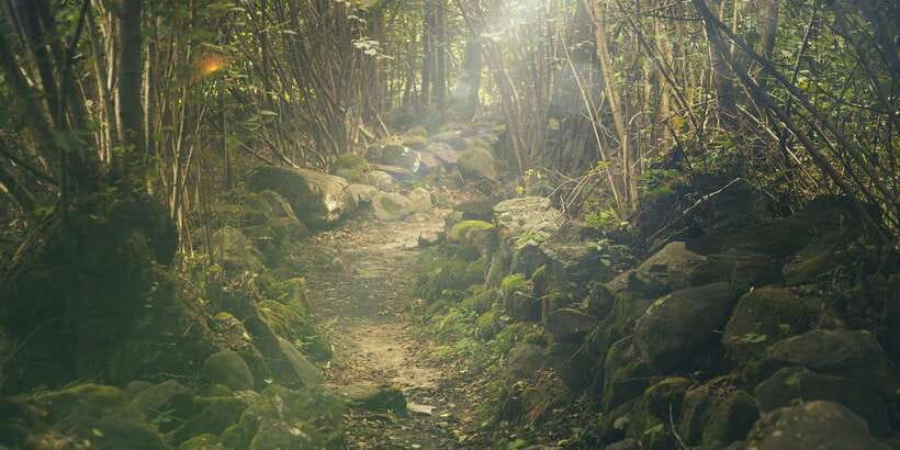 Thrills of Kitulgala - What the $185 price includes