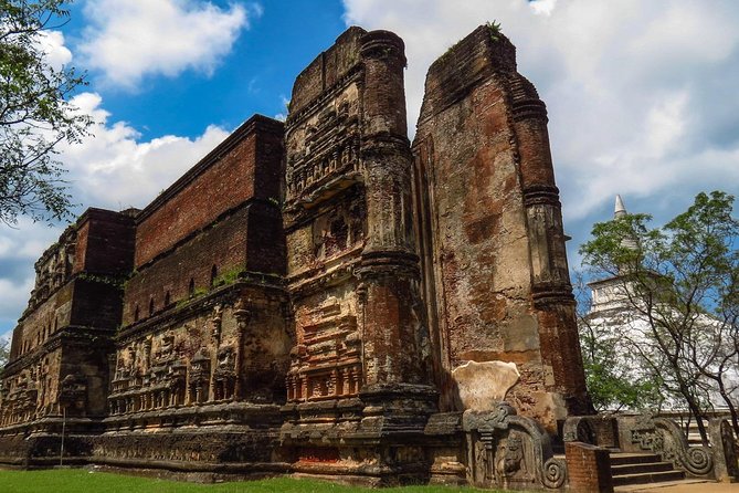 Tour Packages in Sri Lanka - Most Popular Round Tour - All in One Tour - Minneriya offers one of the trip’s best wildlife chances