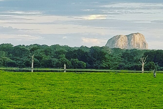 Tours and Transportation in Sri Lanka - What to expect from the drivers