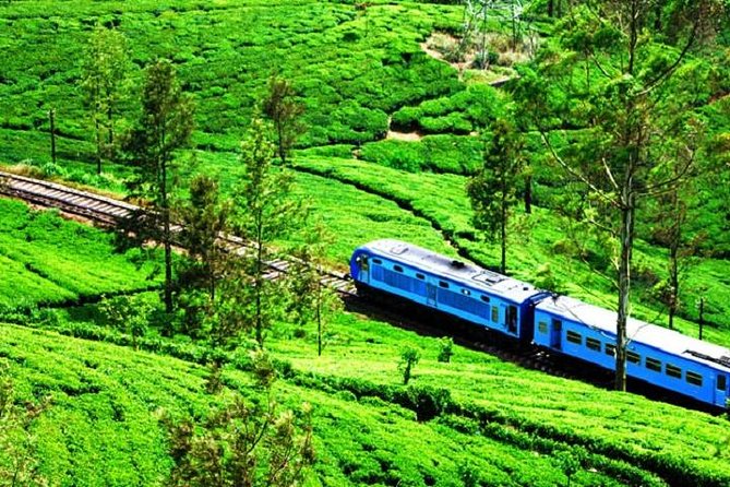 Train Tickets from Nanuoya (NuwaraEliya) to Ella - Key Things to Know Before You Book