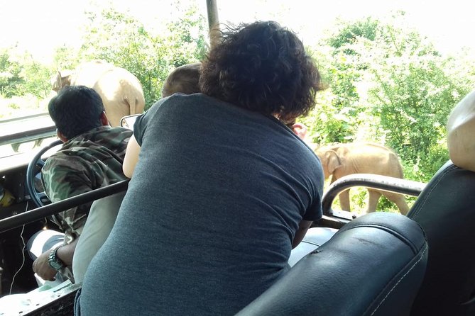 Travel to Ella from Galle with Udawalawe national park safari on the way - The road from Galle and the value of hotel pickup