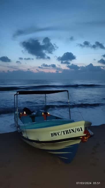 Trincomalee: Dolphin & Whale Watching Boat Tour - Should you book this Trincomalee boat tour?