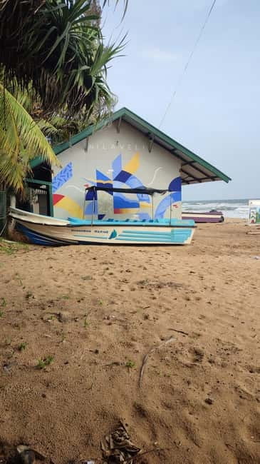 Trincomalee: Dolphin & Whale Watching Boat Tour - A sunrise start at Nilaveli Beach