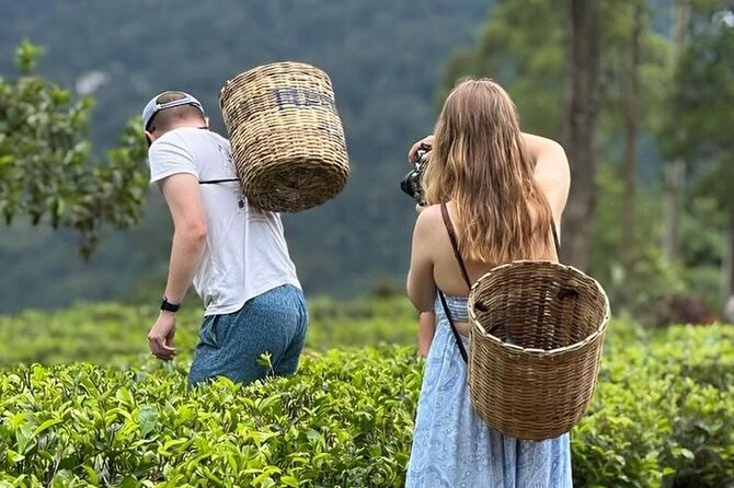 Tuk Tuk Nuwara Eliya Tea Falls Adventure - Key points to know before you book