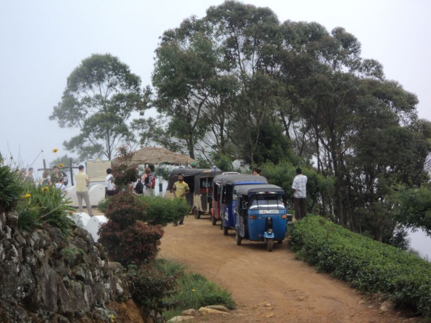 Tuk-Tuk Safari Liptons seat,Tea Fields Hike,TeaFactory Tour - A picnic lunch in the tea country