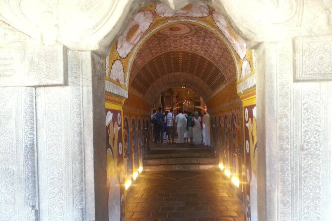 Two Days Cultural Tour Sigiriya Dambulla and Kandy - Searching for Elephants in Habarana