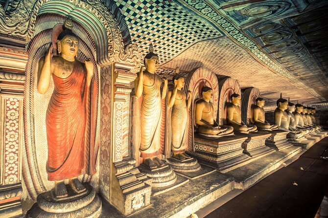 Two Days Cultural Tour Sigiriya Dambulla and Kandy - A Stroll Through Peradeniya’s Royal Botanical Gardens
