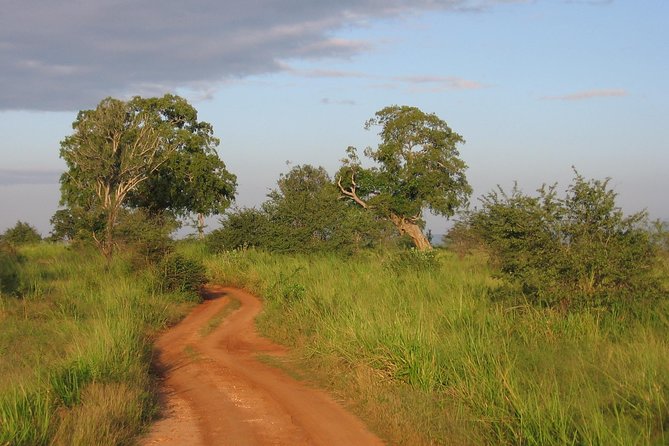 Uda Walawa Safari 1-Day-Tour from Mirissa, Weligama, Ahangama - Practical points before you reserve