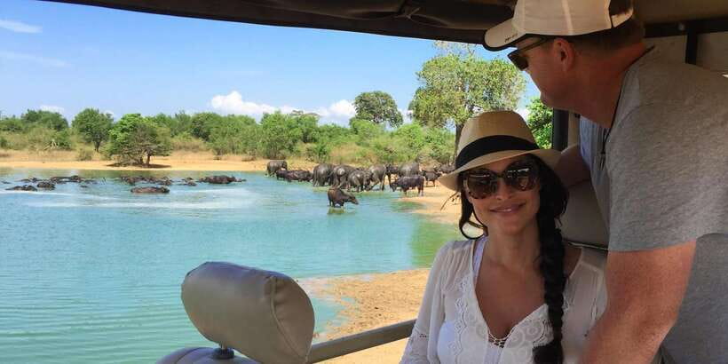 Udawalawa National Park: All-Inclusive Private Day Tour - Why Udawalawe is a strong safari choice