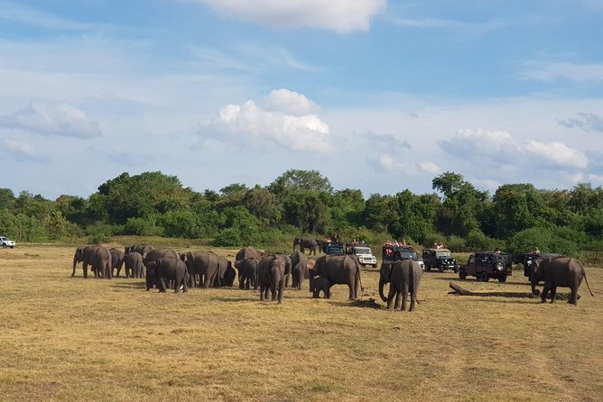 Udawalawa National Park Day Tour - The early drive from Kalutara