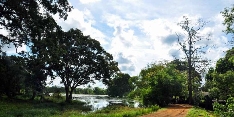Udawalawa National Park: Private Safari - Should you book the Udawalawe private safari?