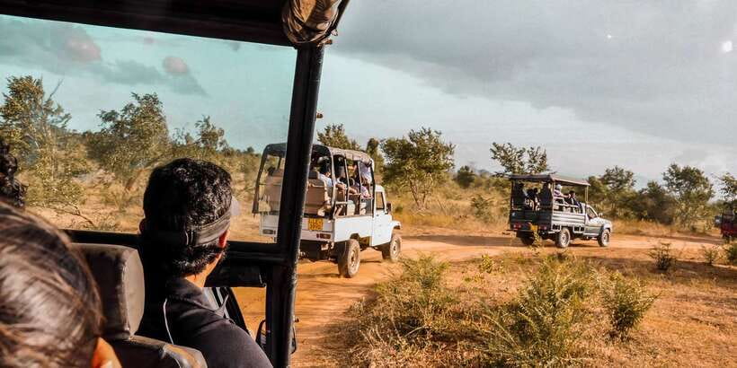Udawalawa National Park: Private Safari - Why Udawalawe is a good place for a short safari