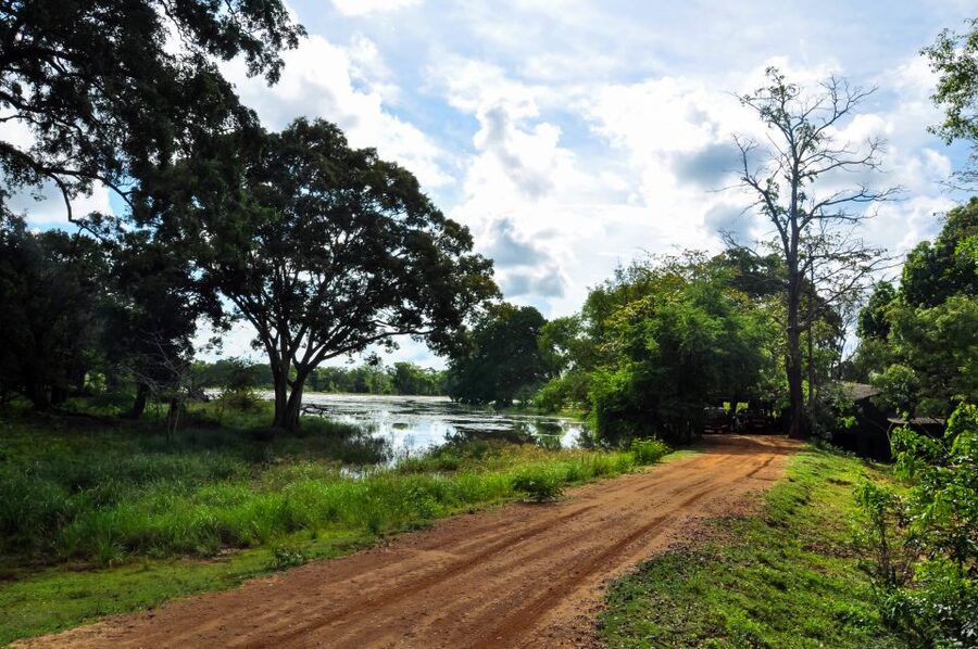 Udawalawa National Park: Private Safari - Morning or afternoon: what the timing means