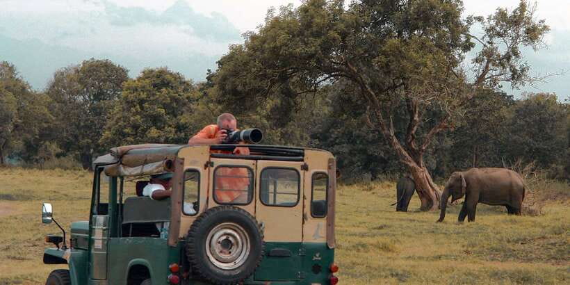 Udawalawa National Park: Private Safari - What the $25 price really covers