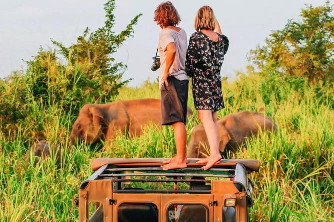 Udawalawa National Park Safari - Key points to know before booking