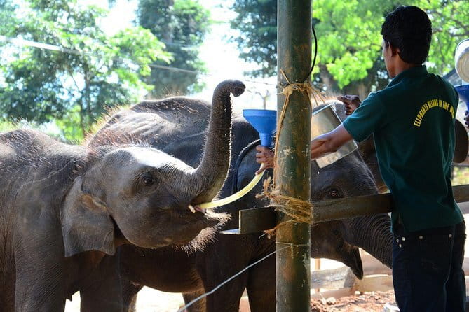 Udawalawa National Park Safari - What the $150 group price really gives you