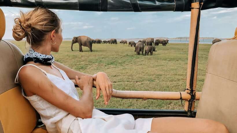 Udawalawa National Park Safari Tour with Experienced Guides - Meeting your driver near Udawalawe