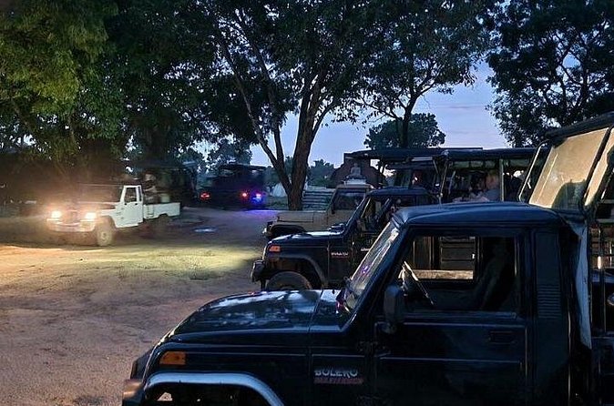 Udawalawe Jeep Safari from Bentota Aluthgama Berawula Area - Is $132.55 good value?