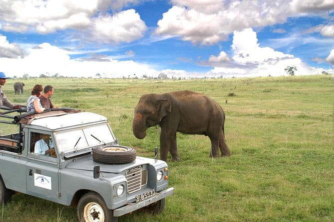 Udawalawe National Park Adventure - Five useful things to know before you book