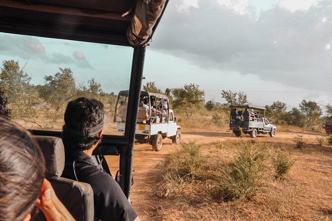 Udawalawe National Park Entrance Ticket with Private Safari - Key points to know before booking