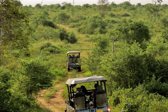 Udawalawe National Park Entrance Ticket with Private Safari - The animals you may see in Udawalawe
