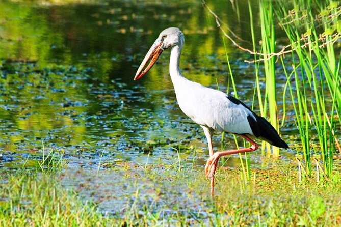 Udawalawe National Park Safari from Ahungalla - What you will not get with the $128 price