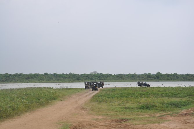 Udawalawe National Park Safari from Bentota - Who will get the most from this day