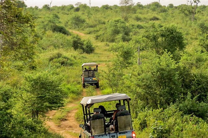 Udawalawe National Park Safari from Hambantota Seaport - Why Udawalawe is a strong choice for elephant viewing