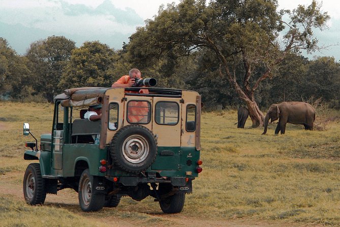 Udawalawe National Park Safari from Mirissa - Is $92 a fair price?